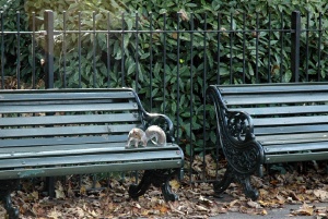 Greenwich
