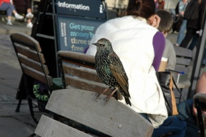 London