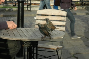 London