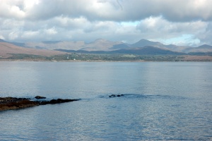 Ring of Beara