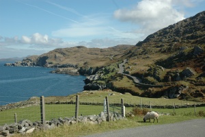 Ring of Beara