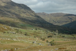 Ring of Beara