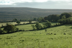 Burren