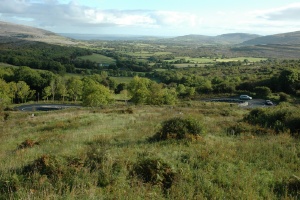 Burren