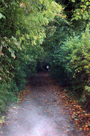 Windermer