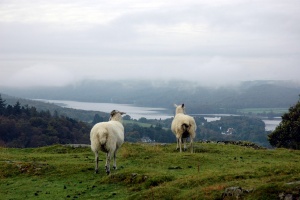 Windermere