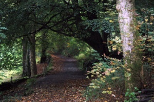 Windermere
