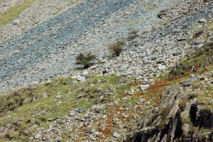 Honister