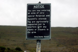 Burren
