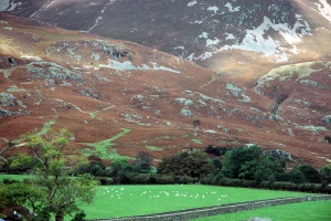 Buttermere