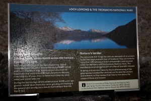 Loch Lomond