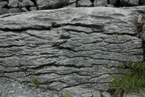 Burren