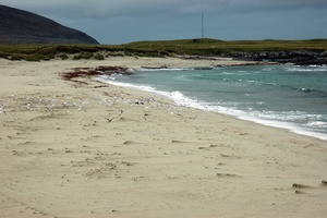 Barra