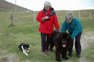 Vatersay