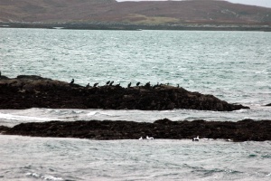 Barra