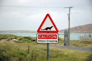 Barra