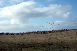 South Uist