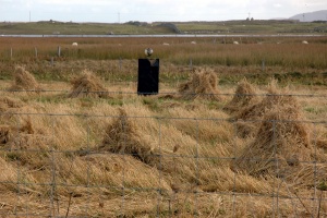 South Uist