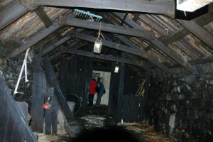 Arnol
