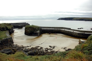 Butt of Lewis