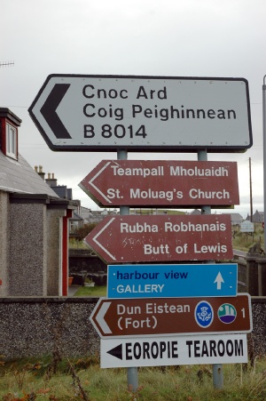 Butt of Lewis