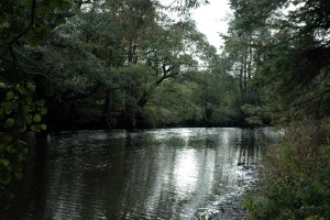 Froggatt