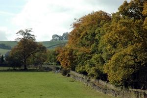 Froggatt
